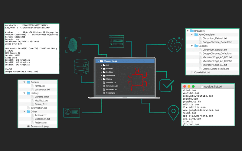 Malware stealer logs showing the variety of information that can be siphoned from malware-infected devices.