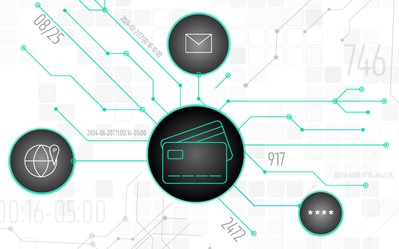 visualization of stolen credit card data