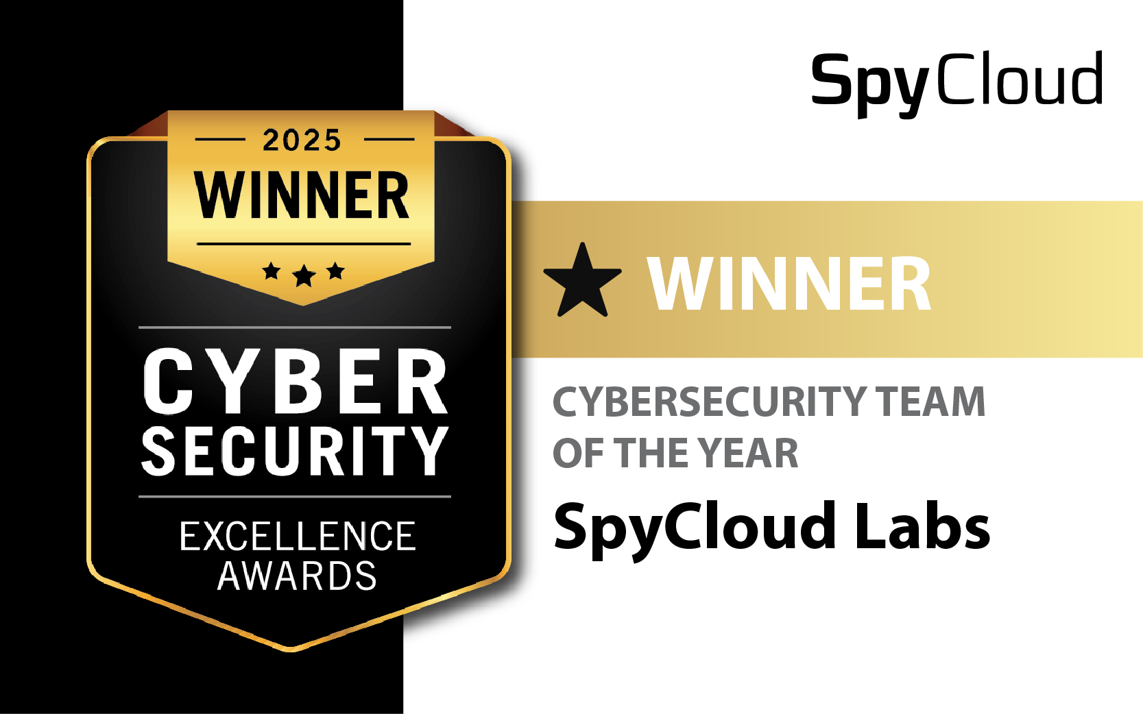 Cyber Security Excellence Award 2025